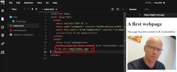 While containers have revolutionized how we develop, package, and deploy applications, using them to run untrusted or potentially malicious code without additional isolation is not a good idea. Using Codesandbox As A Basic Html Css Editor Vanslooten Com