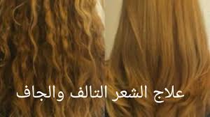 الوصفة الخطيرة التي أنقذت شعري من التلف بعد كارثة الكيراتين علاج الشعر الجاف والتالف Youtube