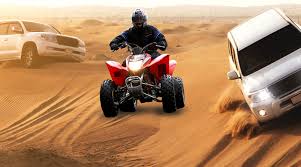 The desert is the natural habitat for the arabian. Morning Desert Safari Combo With Quad Bike Camel Ride And Sand Boarding Roar Adventures