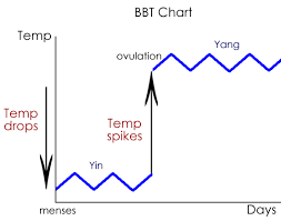 menstrual cycle cinnabar acupuncture blog