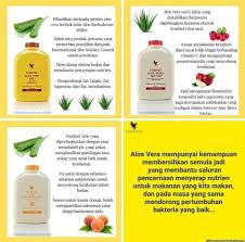 Teori disebalik pembersihan usus secara semulajadi? Cuci Usus Atasi Masalah Aloevera Dan Madu Gurun Facebook