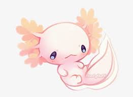 Axolotl chibi kawaii drawings easy drawings character drawing character design tier doodles an axolotl is an aquatic salamander related to tiger salamanders. Axolotl Axolote Cute Kawaii Iwantaaxolotl Help Axolotl Transparent Png 640x522 Free Download On Nicepng