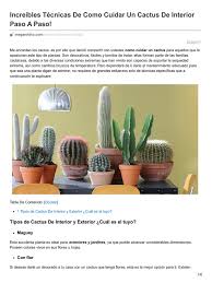 Esta planta, te la recomiendo si eres una persona que no tiene con una vez por semana que se nutran de agua, tus cactus estarán espléndidos. Tecnicas De Como Cuidar Un Cactus De Interior Paso A Paso Fertilizante Ligero