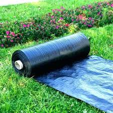 It kills weeds by blocking out the sunlight weeds need to grow. Plastic Weed Barrier Visqueen Projects