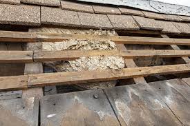 Wespen Feuerwehr Bundesweite Umsiedlung Bekampfung