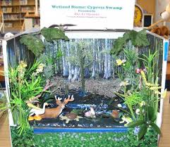 Grassland Biome In A Box Wetlands Diorama Habitats Projects Biomes Project Ecosystems Projects