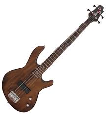 Action is looking for ongoing citizen science projects related to any form of pollution in europe and worldwide, that are primarily carried out online. Cort Action Junior Open Pore Walnut Electric Bass For Kids Brown