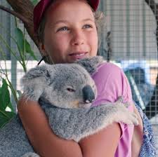 Izzy nel mondo dei koala