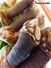Epingle Sur Cooking Fish And Seafood