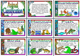 Ks2 Science Teaching Resource Animal Classification