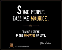 Discover something for everyone this month with some choice picks for the best movies and tv to stream in june. Pin By Skystar On Living In The Seventies Lyrics To Live By Music Quotes Lyrics Music Lyrics