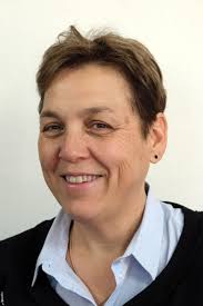 Publications de professionnels 2015