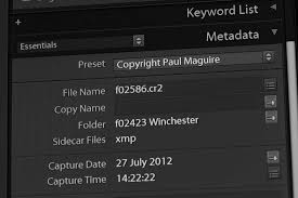 I have a.dcp file that i want to import into lightroom. How To Customise The Metadata Panel In Lightroom Paul Maguire