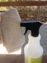 Pro Equine Grooms The Best Ways To Use Fly Sprays On Your Horse