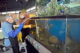 Check spelling or type a new query. Feiro Opens Its Doors To Walk Up Visitors Friday Peninsula Daily News