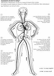 Check spelling or type a new query. Https Webetab Ac Bordeaux Fr Primaire 64 Eps64 Pedagogie Proposition Coeur Notions 20pe Module Respiration Circulation Cycle3 Pdf
