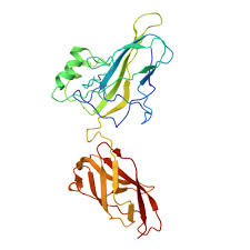 Image result for tbn:e0rIx7nzVbReyM::qamarzaman.jeeran.com/%D8%AA%D8%AF%D9%85%D8%B12.jpg