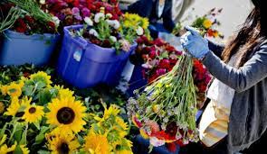 Maybe you would like to learn more about one of these? 7 Ways For Farmers To Market Flowers Hobby Farms