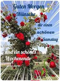 Pin Von Horst Freyberg Auf Morning Greetings Quotes In 2020 Grusse Zum Wochenende Samstagsgrusse Alles Gute Geburtstag