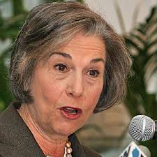 Ribeiro to challenge Schakowsky in primary