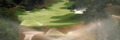 Over The Years Rain Bird Has Pioneered Multiple New Technologies These Technologies Bring Greater Irrigation Control Rain Bird Irrigation Landscape Lighting