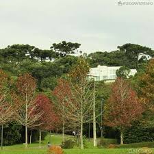 Nesta escala o ponto de fusao da agua e de 32°f e o. Curitiba Registra Maiores Temperaturas Em Maio Em 17 Anos