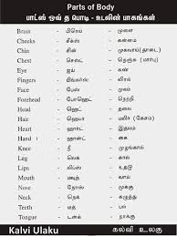 Maybe you would like to learn more about one of these? Body Parts Tamil Taxing Body Parts The Indian Express Learn Vocabulary Terms And More With Flashcards Games And Other Study Tools Adrianne Images