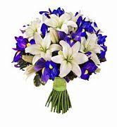 Often this results in lower prices to the consumer since many local flower dealers don't have the large overhead and expenses. 19 Send Flowers To Bermuda Ideas Send Flowers Flowers Flowers Online