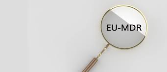 Your abbreviation search returned 82 meanings. Eu Mdr Glossar 47 Begriffe Die Sie Kennen Sollten