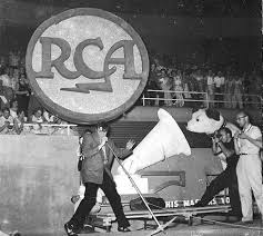 June 25 1956 Sports Arena Savannah Georgia Elvis Never Left Elvis Presley Elvis Presley Pictures Elvis