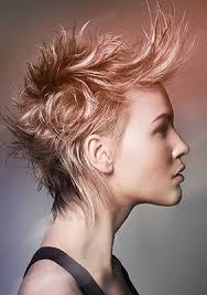 Glam Punk Hair Styles 2011 Hair Styles 2014 Punk Haircut Short Punk Hair