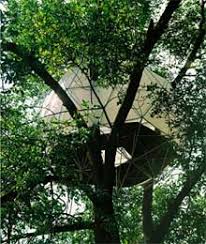 Treehouse was founded in austin and beginning to expand. O2 Sustainability Treehouse