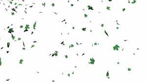 Duplicates in the list below are intentional, as this is a glossary of names, not a list of objects. Top 30 Leaves Falling Gifs Find The Best Gif On Gfycat