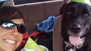 Fundraiser by Alyssa Tichauer : Fallon's Celebration of Life Fund