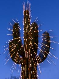 I never meant to wither i wanted to be tall like a fool, left the river and watched my branches fall old and thirsty, i longed for the flood to come back around to the cactus in the valley, that's about to crumble down. 5 Uniquely Arizona Holiday Traditions And Events