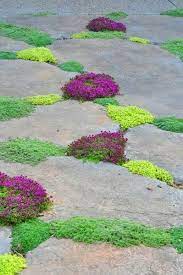 Home And Garden Diy Ideas Garden Inspiration Outdoor Gardens Beautiful Gardens