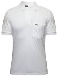 Who is the true owner of the crocodile logo. Purchase Alligator Shirt Brand