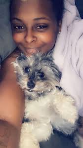 Lost dog in North Shore Park, Woodlands area