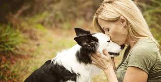 Therapy Pet Certification - Esa Doctors