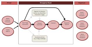 Instead Of The Traditional Nurse Led Triage Unit What Is Your Opinion Of A Team Triage Unit Within The Emergency Department
