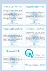 Cell Potency Wall Chart Covering What Is Cell Potency