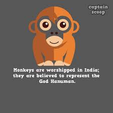 Maybe you would like to learn more about one of these? 15 Amazing Facts You Never Know About Animals Reckon Talk