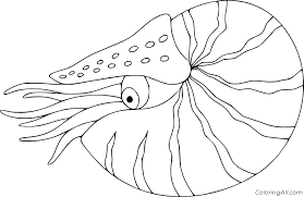 We did not find results for: Free Printable Coral Fan And Nautilus Coloring Pages T14 Coloring Pages Difficulty
