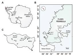 4336 sea mountain hwy unit c, little river, sc 29566. Frontiers Effects Of Sea Animal Activities On Tundra Soil Denitrification And Nirs And Nirk Encoding Denitrifier Community In Maritime Antarctica Microbiology