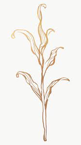 Gold Leaves Outline Transparent Png Premium Image By Rawpixel Com Nunny Leaf Outline Gold Leaf Painting Leaf Drawing