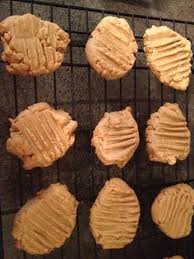 Debbie Roop (debbieroop)