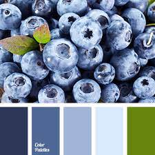 Check spelling or type a new query. Blackberries Color Color Palette Ideas
