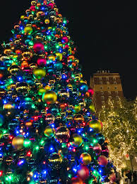 This season, the most popular will be there are many design options for a forest beauty. Where To Travel In December Extravagant Christmas Trees Around The World Travel Blue Travel Accessories