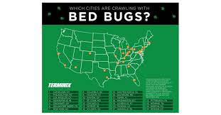 In addition to causing structural damage, pests are a nuisance to homeowners. Terminix Reveals Its List Of The Top 25 Most Bed Bug Infested Cities Business Wire