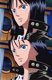 Pin On One Piece Episode Of Merry